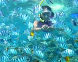 It also has a rich coral reef so scuba diving is also a favorite activity of the visitors in which they can know about marine life. Enjoying the beaut